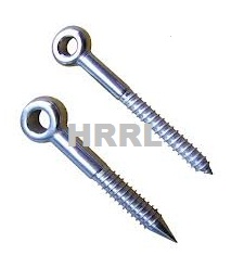 Stainless Steel Eyes Bolt